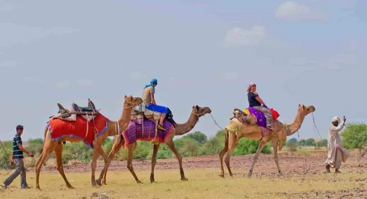 Festival del Desierto de Jaisalmer