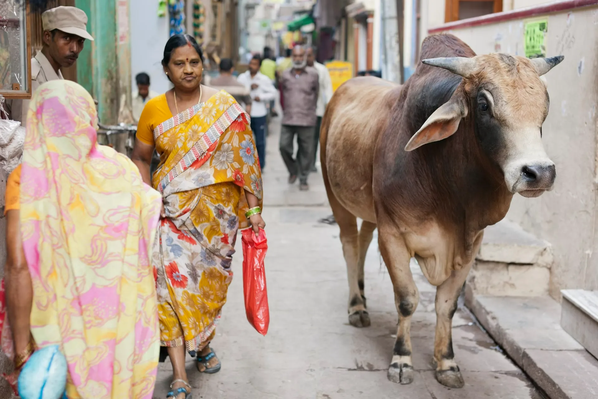 No encontrarás coches en las estrechas calles de la Ciudad Vieja de Varanasi, pero podrías encontrarte con una o dos vacas. Paul Panayiotou/Getty Images